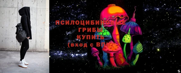 трава Богородицк