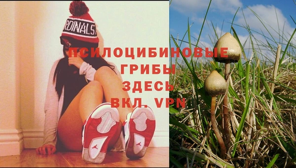 прущий лед Богданович