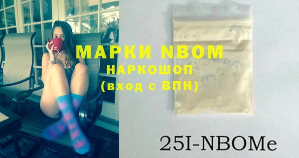 прущий лед Богданович