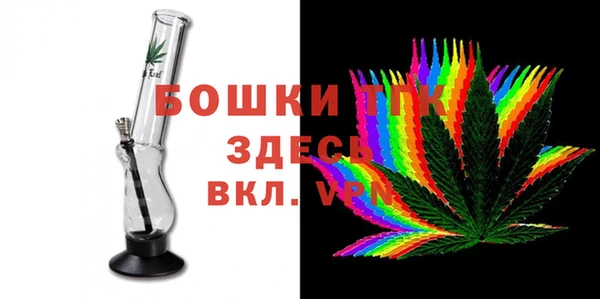 прущий лед Богданович