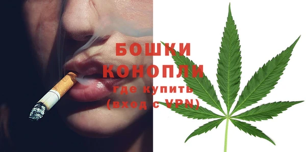 прущий лед Богданович