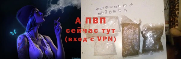 гидропоника Богородск