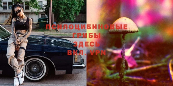 прущий лед Богданович