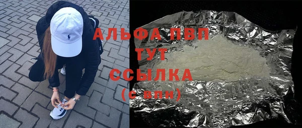 прущий лед Богданович
