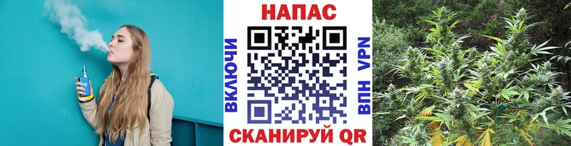 Купить  Мирный  Бошки марихуана сатива 